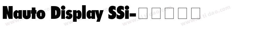 Nauto Display SSi字体转换